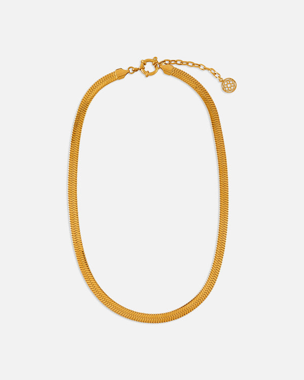 Snake design necklace for women